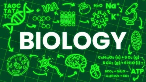 Biology Explained In 17 Minutes